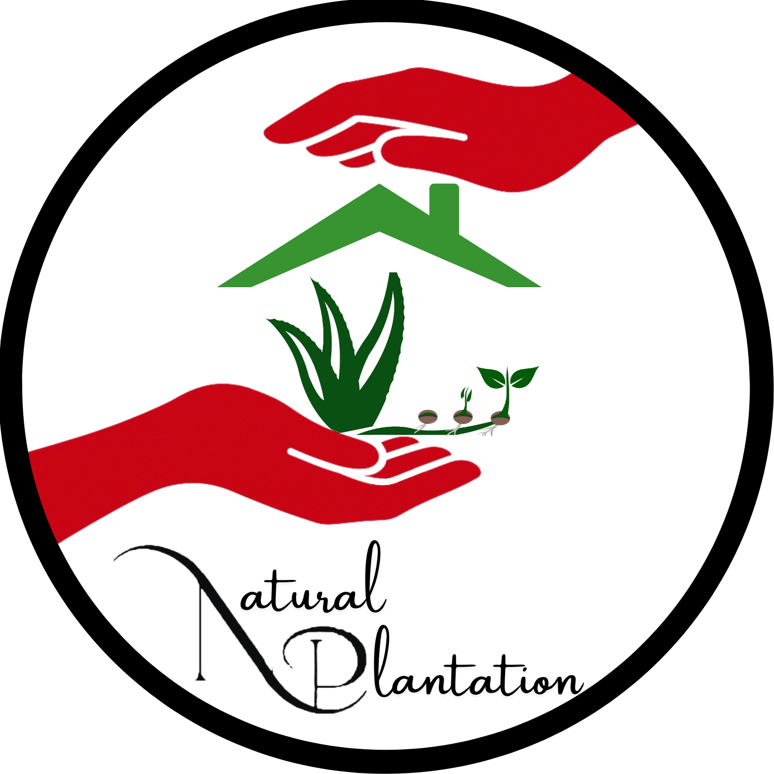 Natural Plantation logo